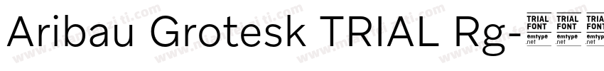 Aribau Grotesk TRIAL Rg字体转换